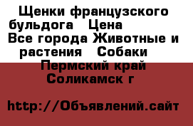 Щенки французского бульдога › Цена ­ 30 000 - Все города Животные и растения » Собаки   . Пермский край,Соликамск г.